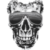 Shady Character SKULL
